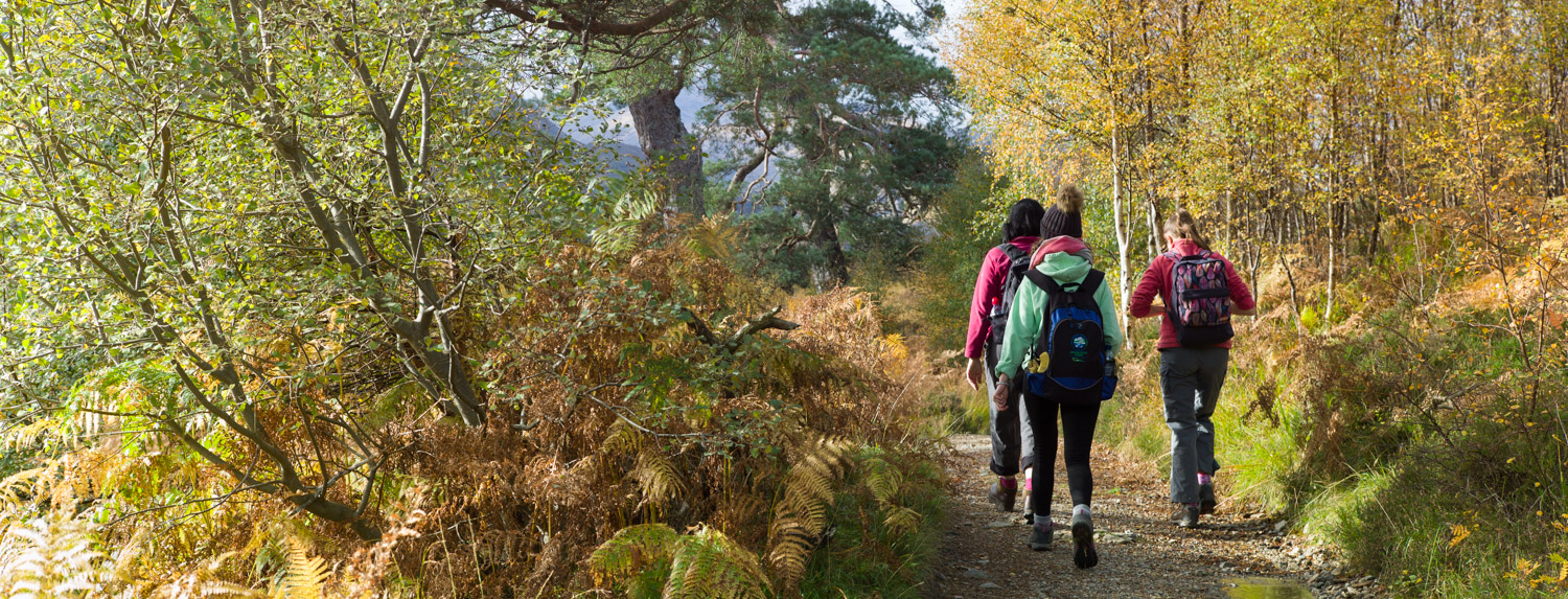 Autumn colours on the path alongside Loch Affric